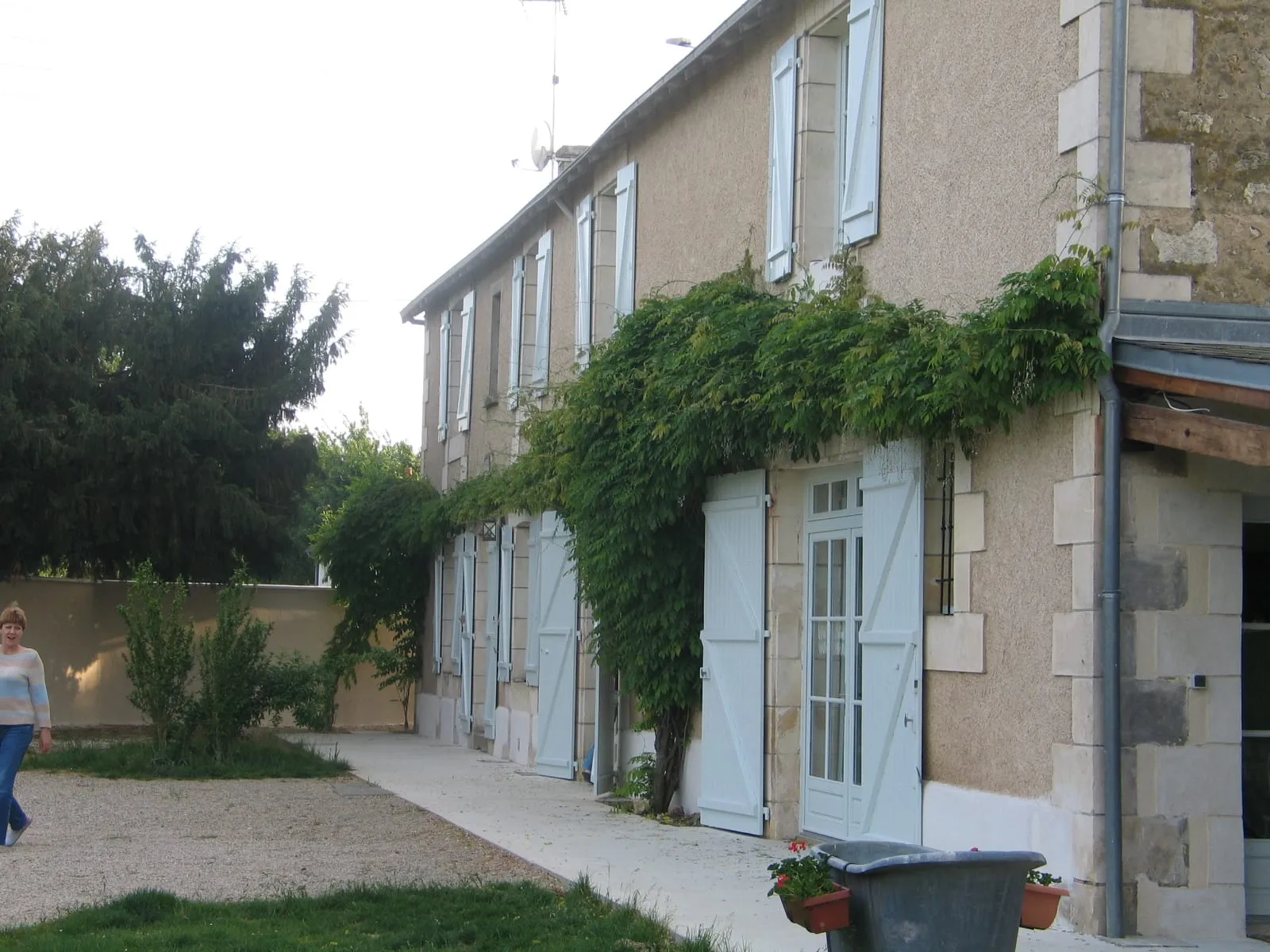 Crépis à Poitiers — chantier SARL Millaud