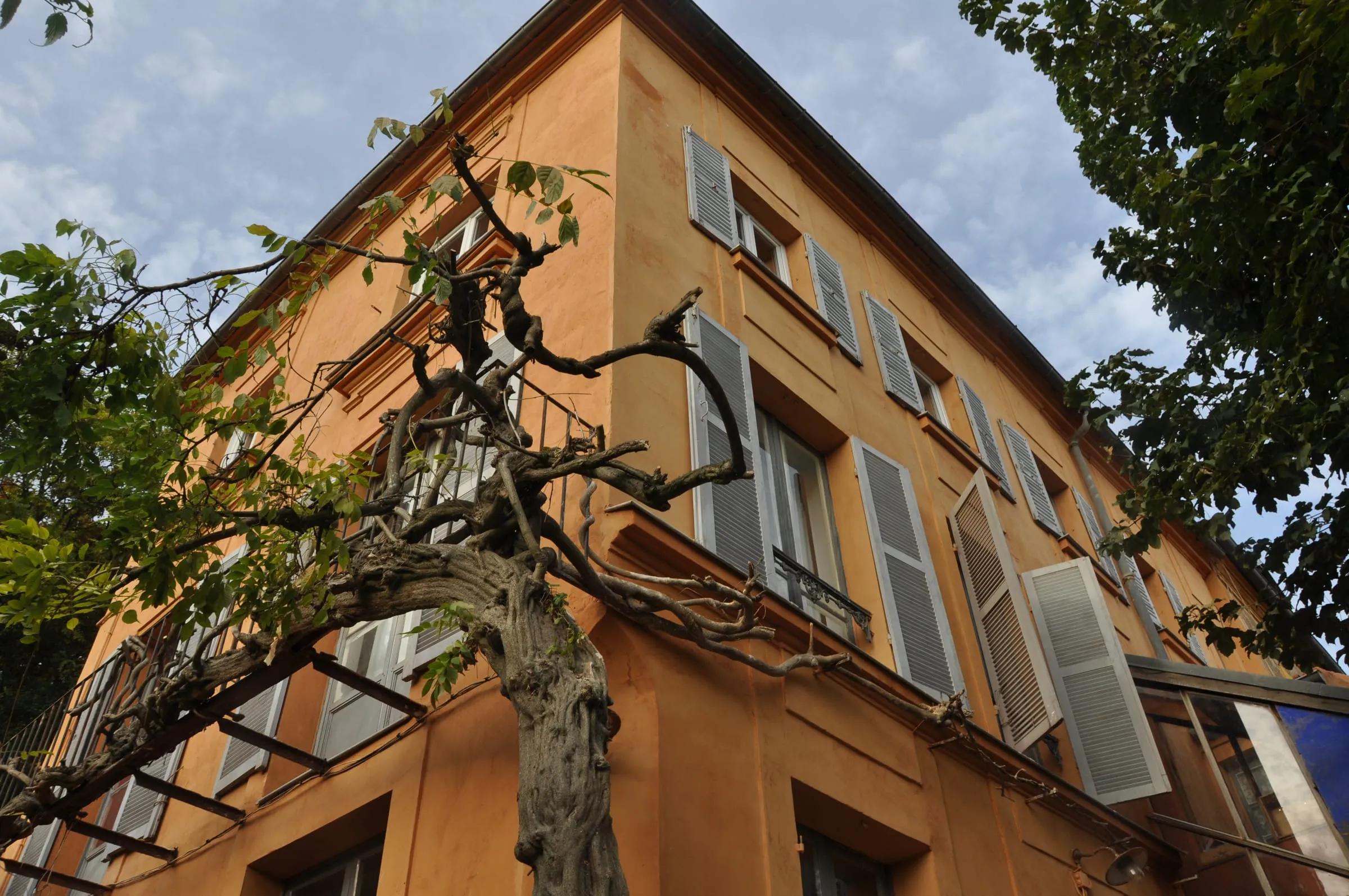 Ravalement à Vienne — chantier SARL Millaud